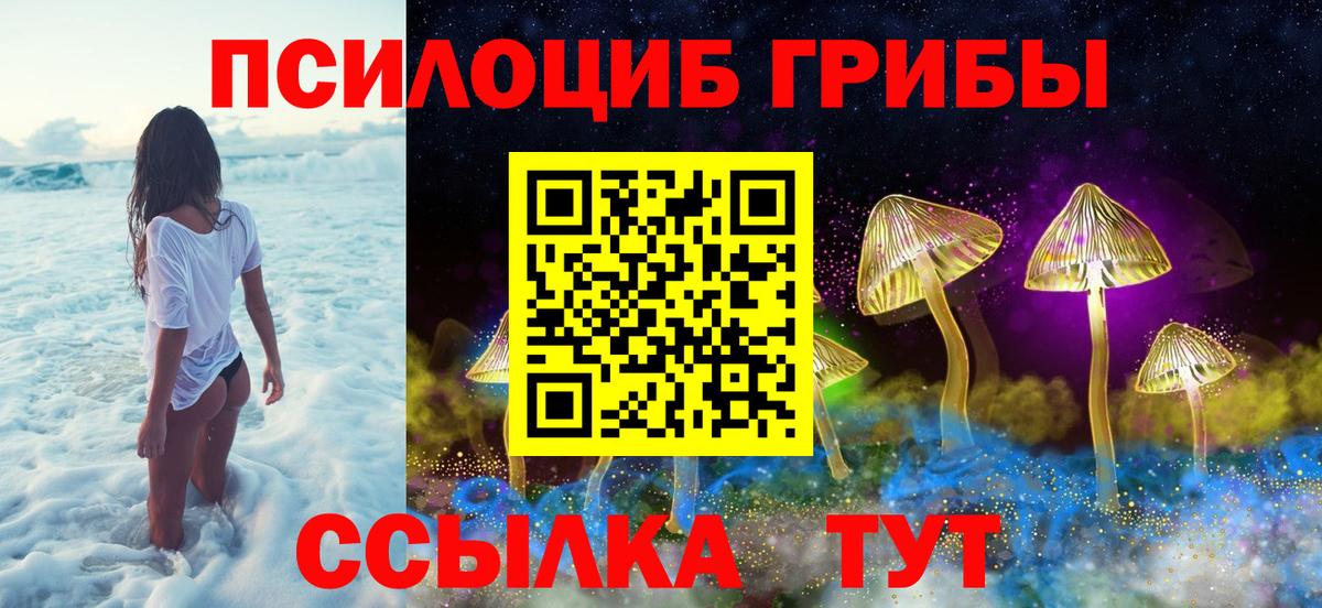 Галлюциногенные грибы Psilocybe  Вход с VPN  Анжеро-Судженск 