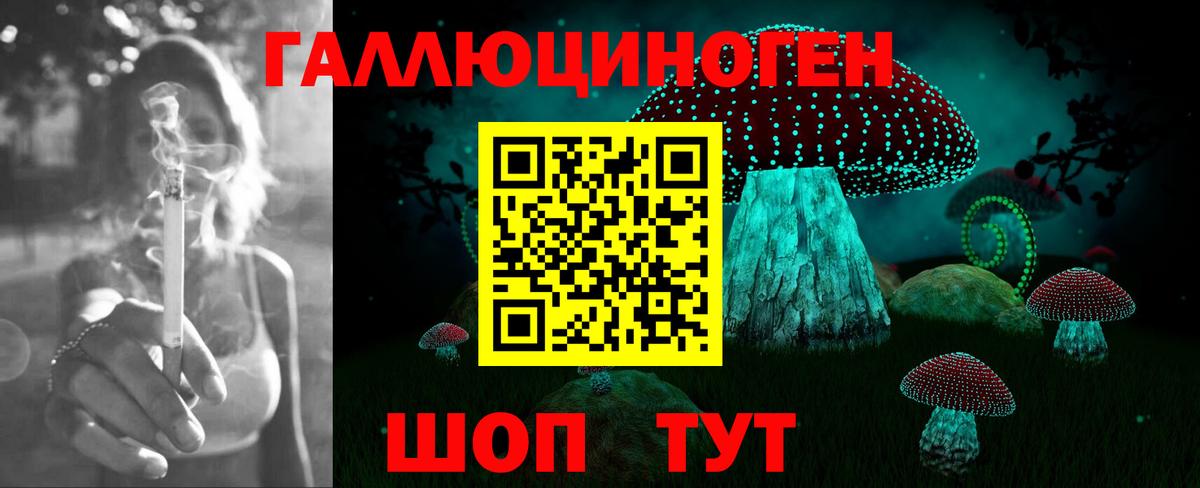 Псилоцибиновые грибы ЛСД Анжеро-Судженск